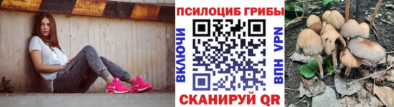 Галлюциногенные грибы мицелий  Татарск 